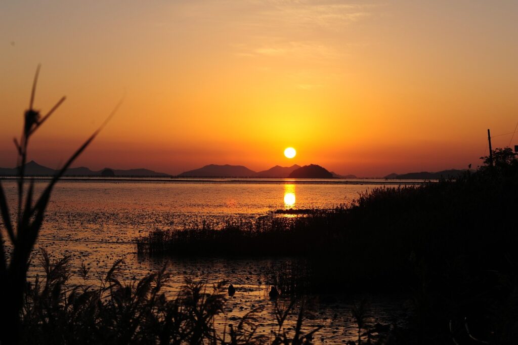 本当に痩せる酵素サプリの購入ガイドは？