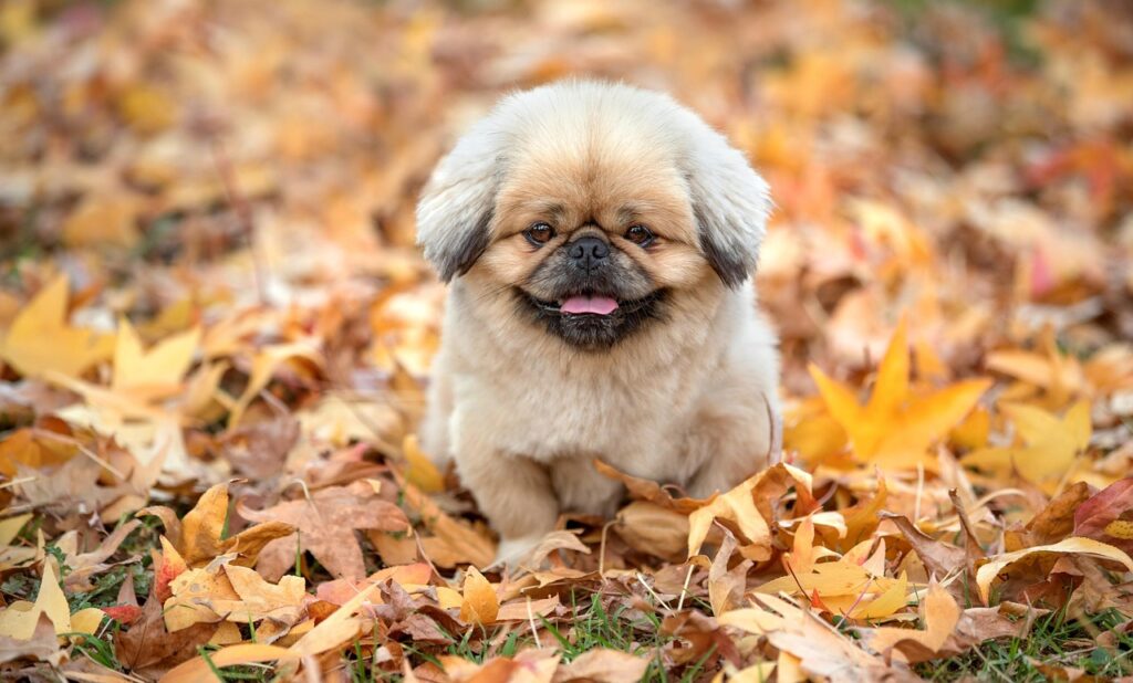 痩せるための酵素サプリは食べ過ぎ防止に効果的なの？