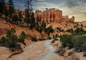 酵素サプリの海外製と国内製を比較するとどちらが優れているのか？