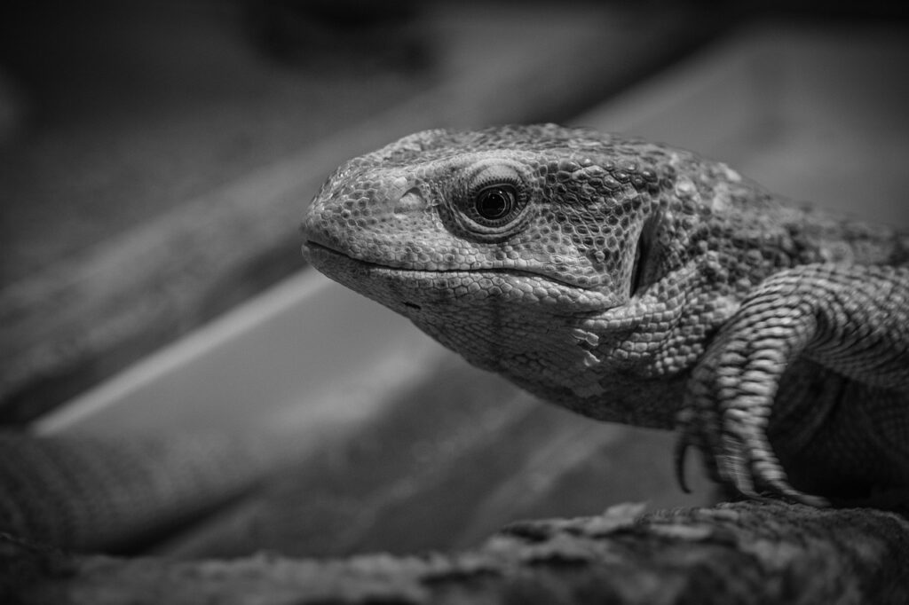 酵素サプリはプロテイン不要で本当に効果的なの？