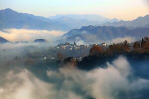 酵素サプリは一日何粒で痩せるのが効果的ですか？