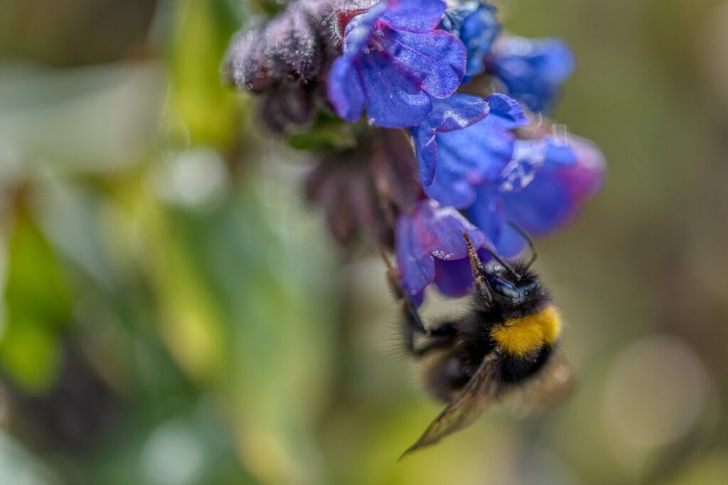 酵素サプリは一日何粒で痩せるのが理想的？