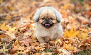 酵素ドリンクを飲むだけで本当に痩せるのか？