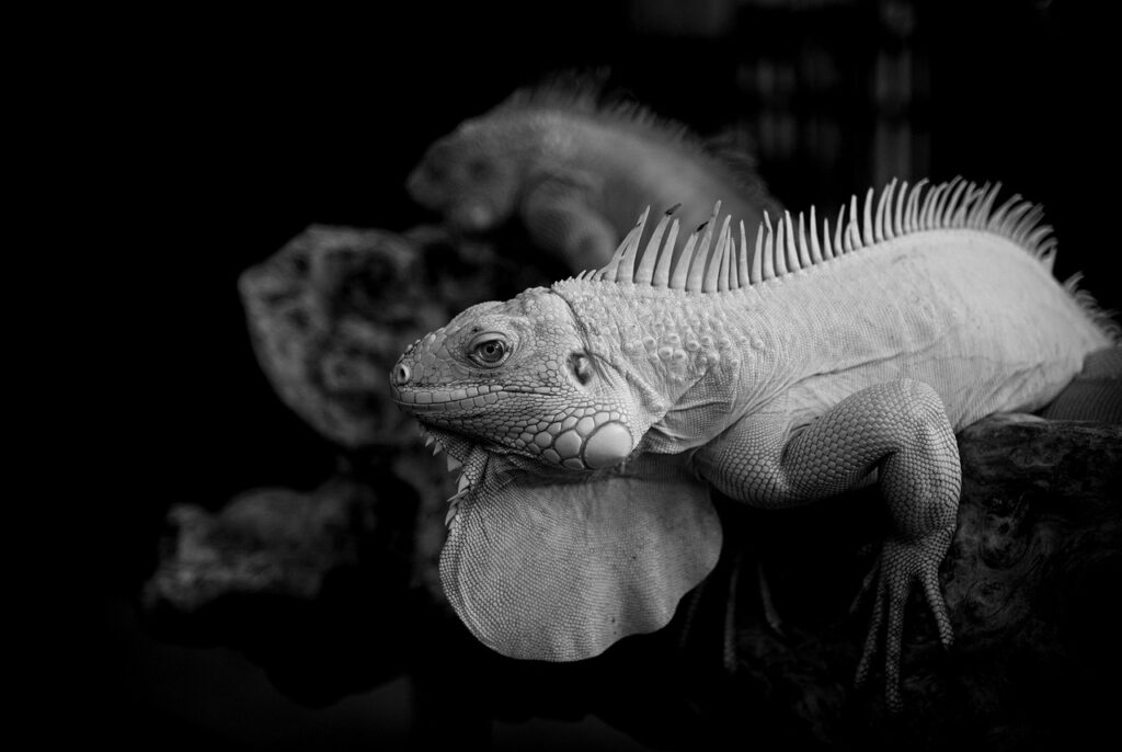 痩せる酵素サプリの送料無料での比較はどれが最適？