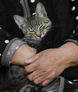 酵素ドリンクの飲みやすさを比較したおすすめ商品は？