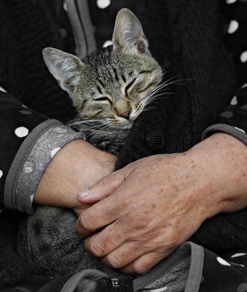 酵素ドリンクの飲みやすさを比較したおすすめ商品は？