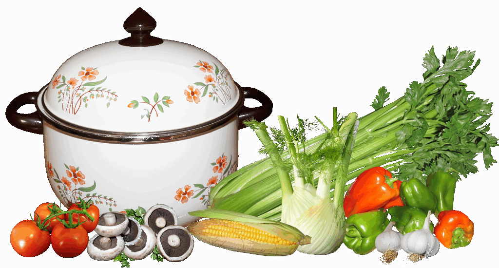 酵素ダイエットに最適な栄養補助食品は何ですか？