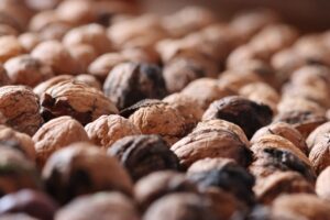 酵素ダイエットの成分はどのような効果をもたらすのか？