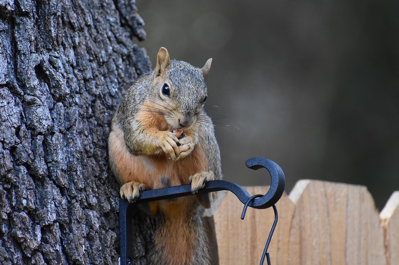 食べる酵素の効果は本当にあるのか？